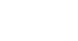 Dromedario