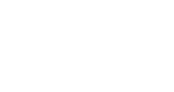 Sprint Sport